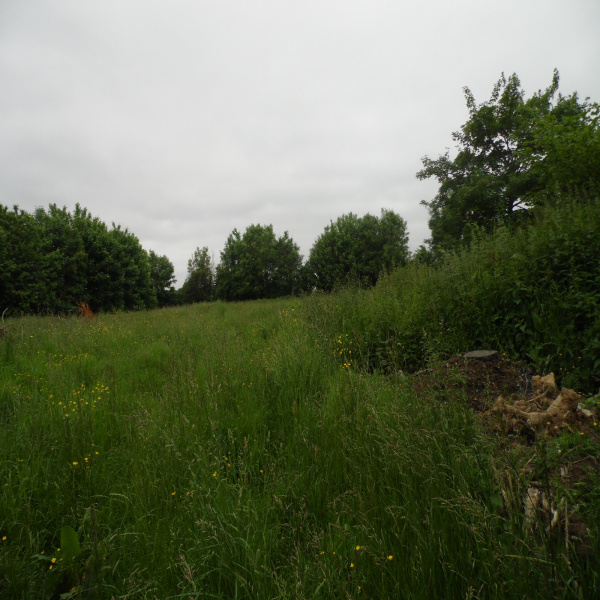 Offres de vente Terrain Pont-Audemer 27500