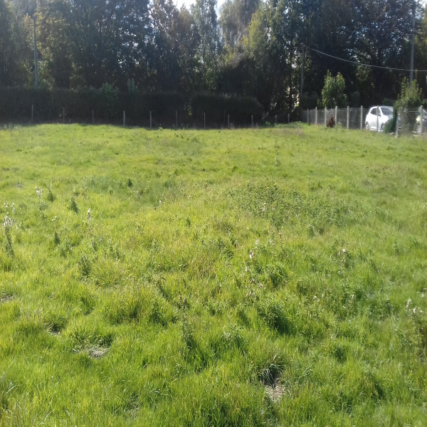 Offres de vente Terrain Bourneville 27500