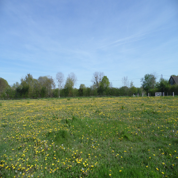 Offres de vente Terrain Pont-Audemer 27500